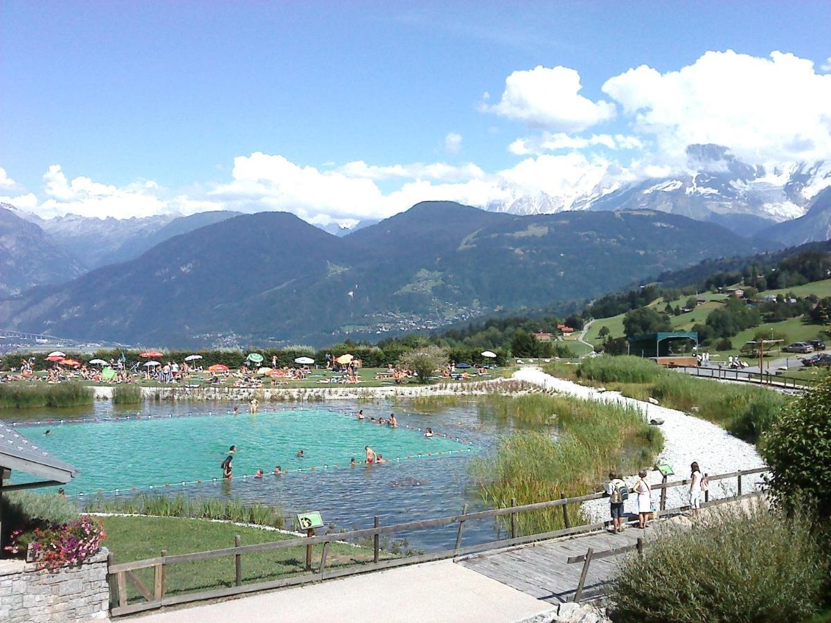 Coeur Des Alpes Daire Combloux Dış mekan fotoğraf