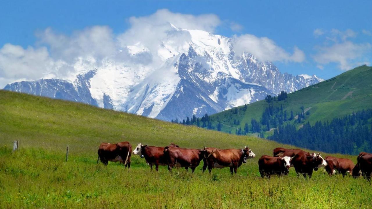Coeur Des Alpes Daire Combloux Dış mekan fotoğraf